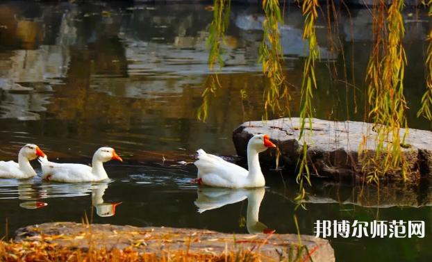 山東財經(jīng)師范大學(xué)萊蕪校區(qū)2023年報名條件、招生要求、招生對象 