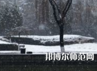 焦作師范高等?？茖W(xué)校2023年招生代碼