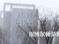 焦作師范高等?？茖W校2023年招生代碼