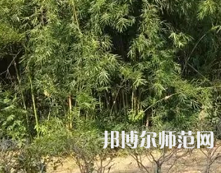 湖南理工師范學院南湖學院2023年怎么樣、好不好