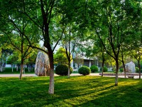 山東財(cái)經(jīng)師范大學(xué)圣井校區(qū)2023年怎么樣、好不好