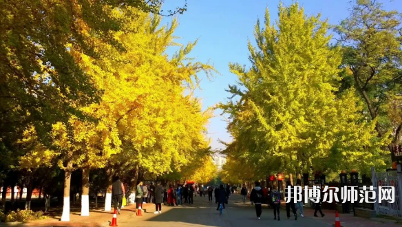 遼寧大學(xué)師范學(xué)院崇山校區(qū)2023年報(bào)名條件、招生要求、招生對(duì)象