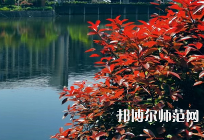 南華大學(xué)船山師范學(xué)院雨母校區(qū)2023年報(bào)名條件、招生要求、招生對(duì)象