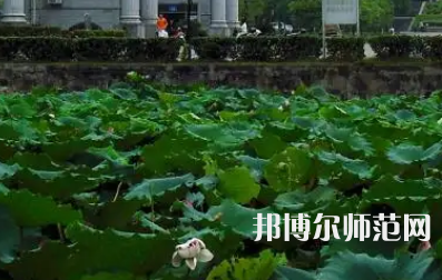 南華師范大學紅湘校區(qū)2023年報名條件、招生要求、招生對象