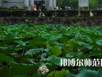 南華師范大學紅湘校區(qū)2023年報名條件、招生要求、招生對象