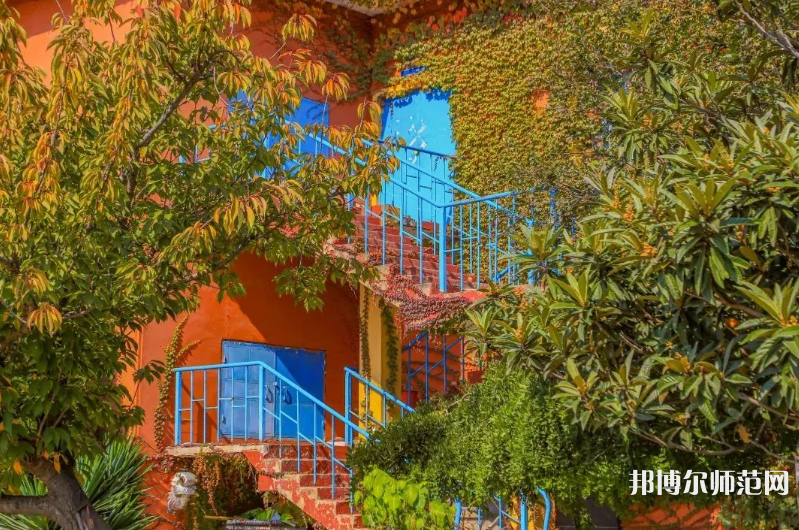 青島科技師范大學(xué)高密校區(qū)2023年報(bào)名條件、招生要求、招生對(duì)象 