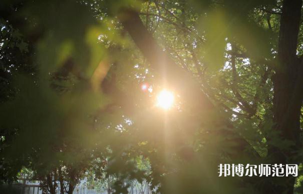 咸陽職業(yè)技術師范學院2023年報名條件、招生要求、招生對象