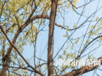 湖南大學(xué)師范學(xué)院南校區(qū)2023年怎么樣、好不好