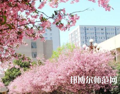 中國礦業(yè)師范大學(xué)徐海學(xué)院2023年報(bào)名條件、招生要求、招生對象
