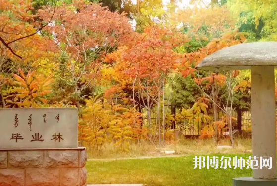 內(nèi)蒙古大學(xué)師范學(xué)院滿洲里學(xué)院2023年怎么樣、好不好