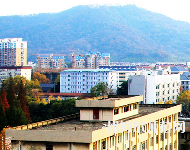 南京林業(yè)師范大學(xué)南京校區(qū)2023年有哪些專(zhuān)業(yè)