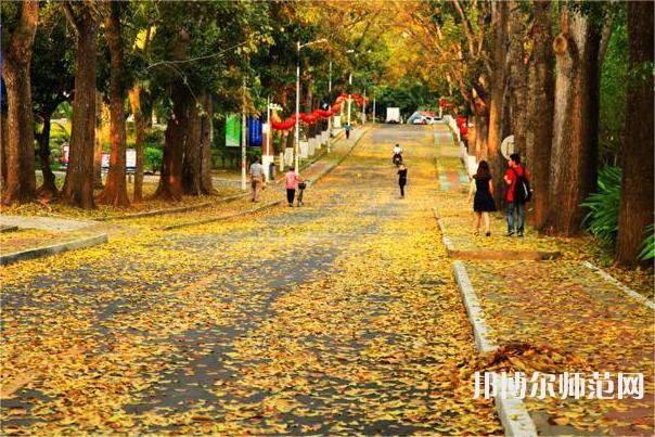 海南大學(xué)師范學(xué)院海甸校區(qū)2023年報名條件、招生要求、招生對象 