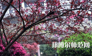 湖南第一師范學(xué)院城南書(shū)院校區(qū)2023年怎么樣、好不好