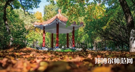 黑龍江師范大學(xué)2023年報(bào)名條件、招生要求、招生對(duì)象 