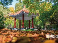 黑龍江師范大學(xué)2023年報名條件、招生要求、招生對象