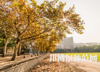 中南師范大學(xué)20232023年有哪些專(zhuān)業(yè)