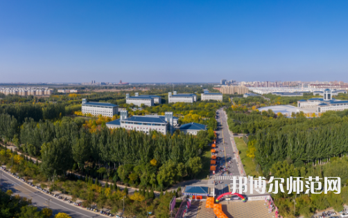寧夏民族職業(yè)技術(shù)師范學院2023年有哪些專業(yè)