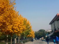 西北師范大學(xué)2023年怎么樣、好不好