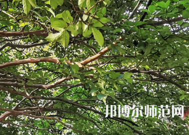 湖南師范大學2023年報名條件、招生要求、招生對象