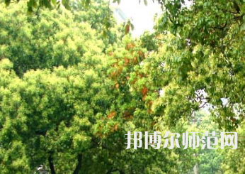 衡陽師范學(xué)院南岳學(xué)院2023年怎么樣、好不好