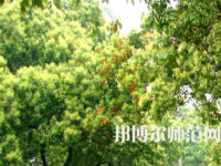 衡陽(yáng)師范學(xué)院南岳學(xué)院2023年怎么樣、好不好
