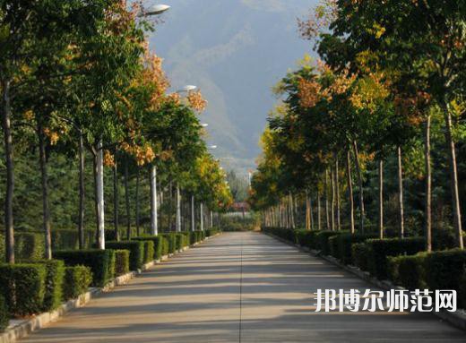 西北大學師范學院桃園校區(qū)2023年招生代碼