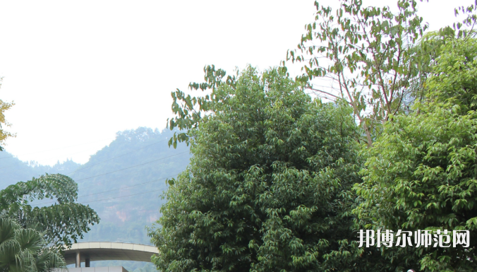 自貢大安幼師職業(yè)技術(shù)學(xué)校2023年學(xué)費(fèi)、收費(fèi)多少