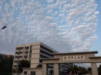 天津師范大學(xué)2023年招生計劃