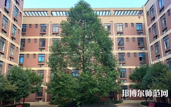 四川師范大學(xué)成都學(xué)院眉山校區(qū)2023年怎么樣、好不好
