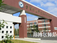 2023年合肥幼兒師范高等?？茖W校是民辦大學還是公辦