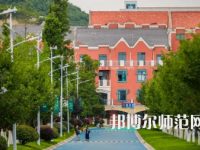 2023年貴陽幼兒師范高等?？茖W(xué)校舞蹈表演專業(yè)介紹