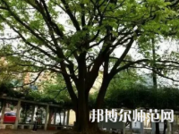 2023年興義民族師范學院電子科學與技術專業(yè)介紹